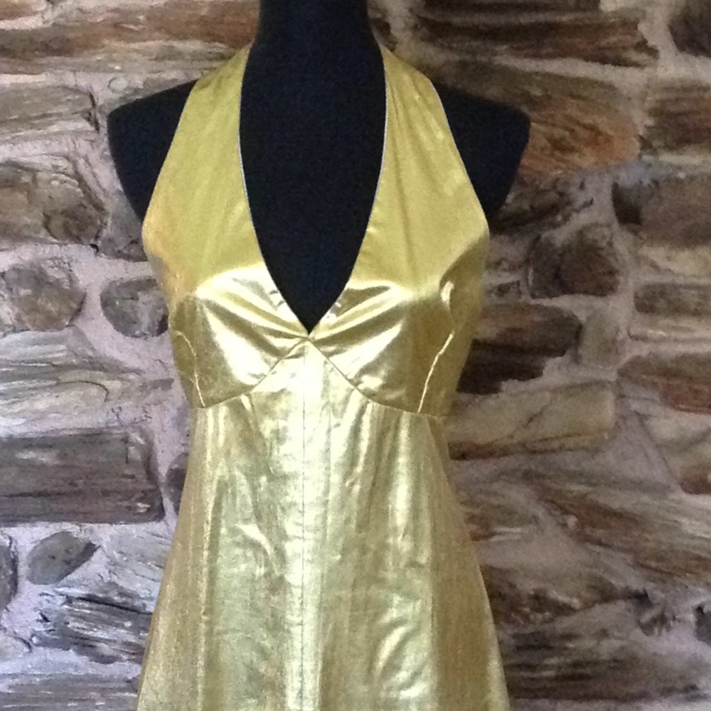 Gold Lame - Picture 3 of 9